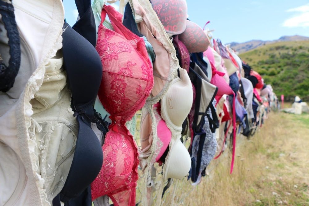 Cardrona Bra Fence, curiosa cerca dos sutiãs