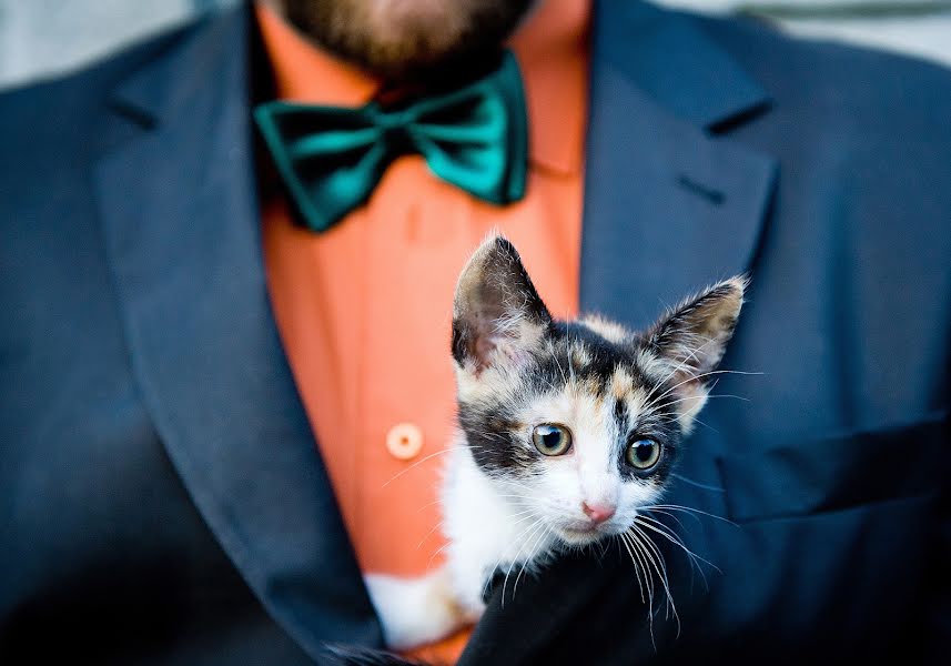 Fotografo di matrimoni Krzysztof Biały (krzysztofbialy). Foto del 21 gennaio 2014