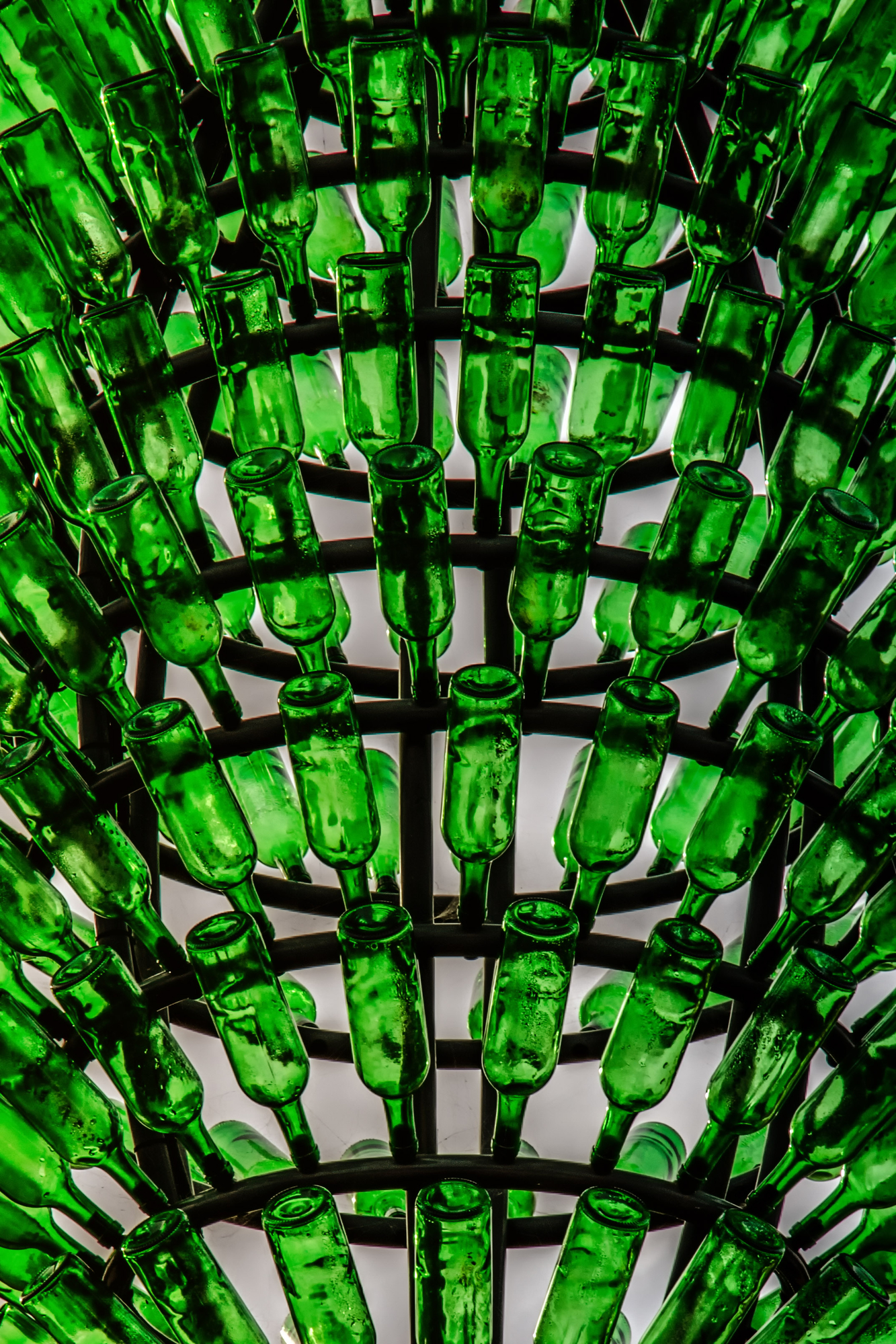 Green bottles di Sometimes