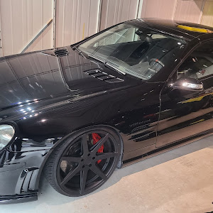 SL R230