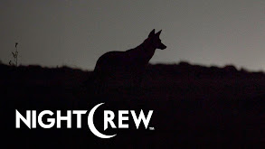 Night Crew thumbnail