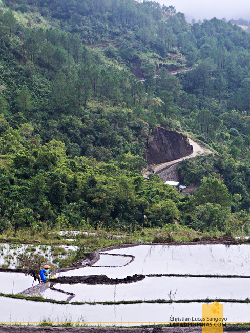 Maligcong Rice Terraces Bontoc Mountain Province