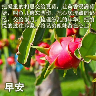朋友圈早安祝福语(圖3)-速報App