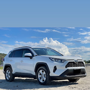 RAV4 MXAA54