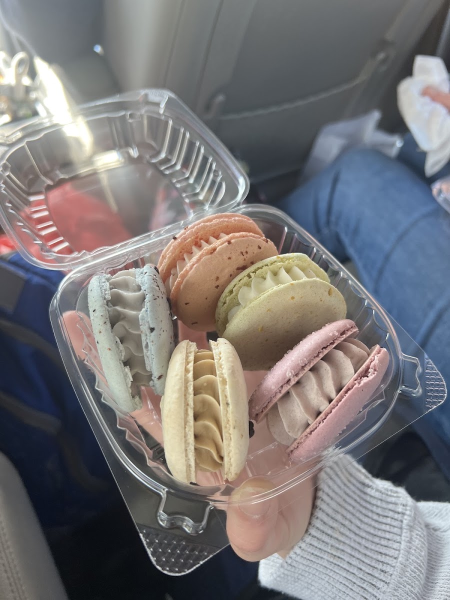 Blueberry cheese cake, strawberry, pistachio, coffee crème and elderberry macarons