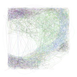 Scribbled Boundaries #1019