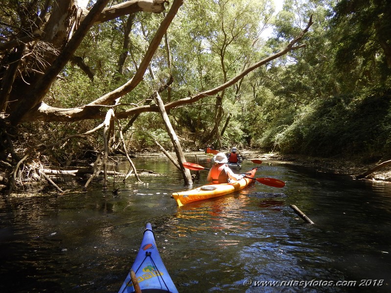 Kayak río Palmones