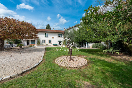 House with garden 1