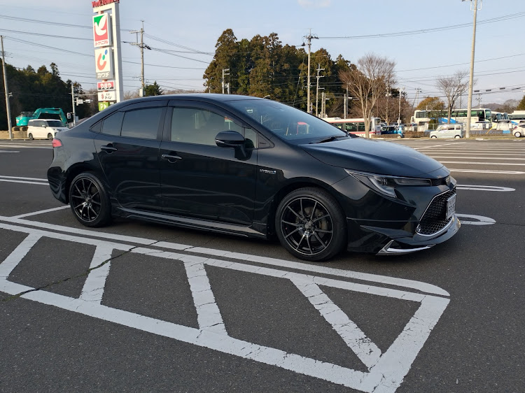 カローラの朝活撮影📷・Weds Sport・ベストショット・春ですねに関するカスタム事例の投稿画像2枚目