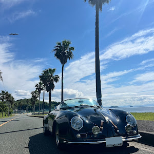 356