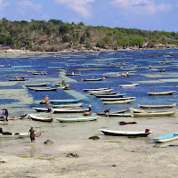 Nusa Lembongan di 