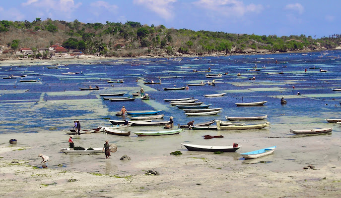 Nusa Lembongan di Merlograziano