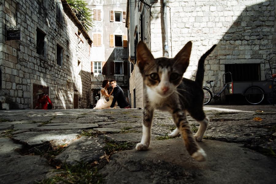 Fotograf ślubny Dasha Tebenikhina (tebenik). Zdjęcie z 14 kwietnia 2019