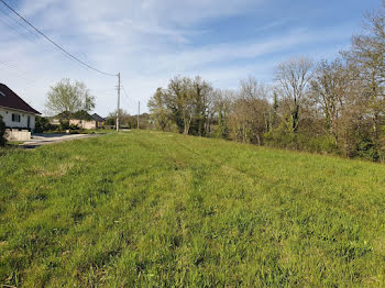 terrain à Le Pescher (19)