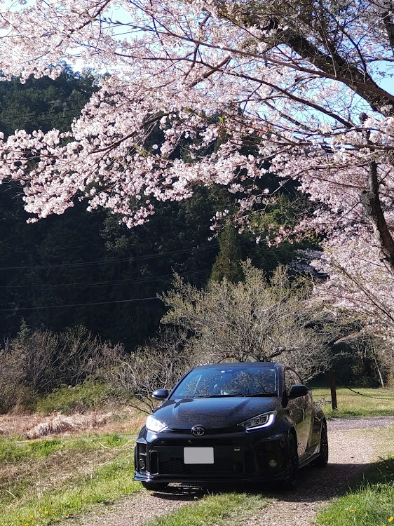 GRヤリスのいつもイイネ&コメントありがとうございます🙇‍♂️・GRヤリスRS・桜とコラボ・サクラと愛車・誰も来ない善良き場所🎵に関するカスタム事例の投稿画像4枚目