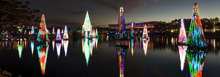 Sea of Trees SeaWorld 