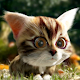 Kitty Quest  - Cat Adventure Game