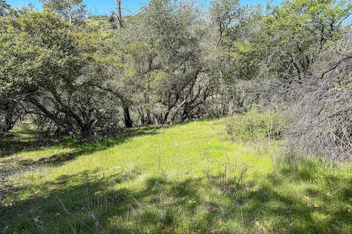 Terrain 5