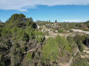 terrain à Clermont-l'herault (34)