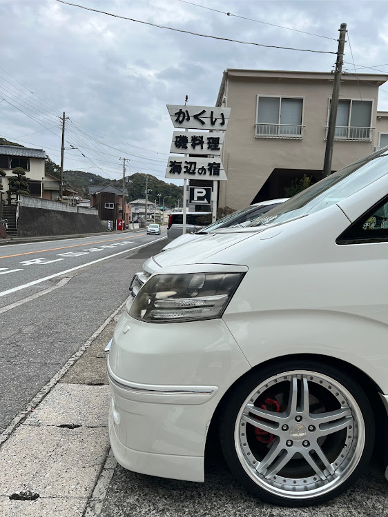 アルファードの関東十系愛好會・小旅行・鴨川シーワールド・勝浦市、鴨川市・チンアナゴに関するカスタム事例の投稿画像4枚目