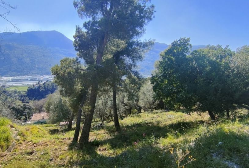  Vente Terrain à bâtir - 1 024m² à Saint-Martin-du-Var (06670) 