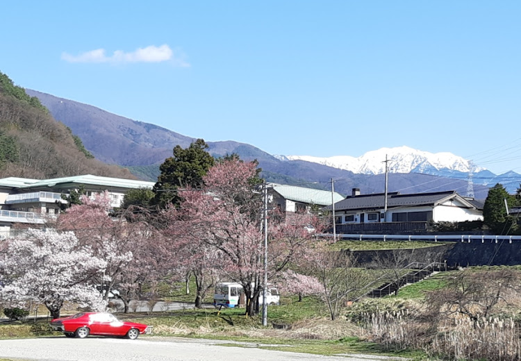 シェベルのマスタング・アメリカンマッスル・アメ車・ドライブ・桜に関するカスタム事例の投稿画像5枚目