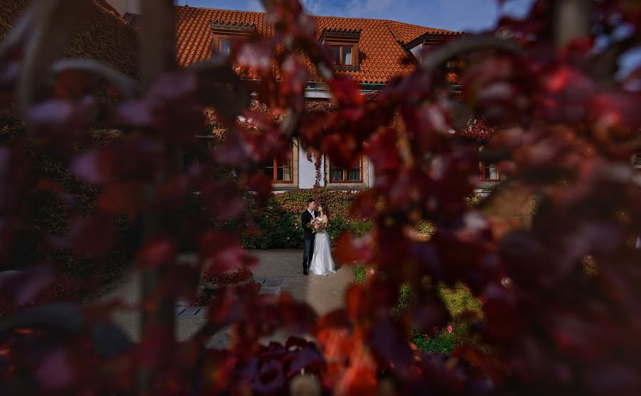 Wedding photographer Artem Danilov (alkor2206). Photo of 8 October 2017