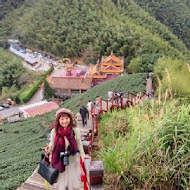 嘉義梅山二尖山休閒茶園