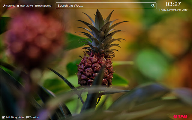 Pineapple Wallpaper for New Tab