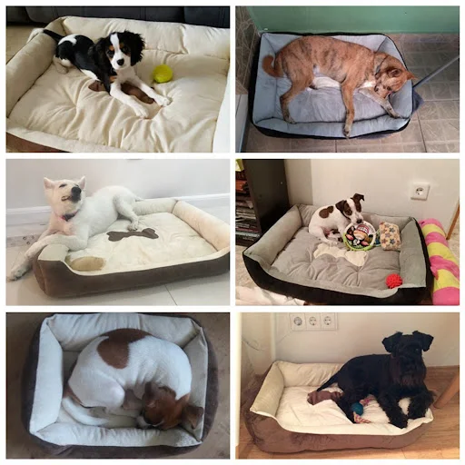 Pet Dog Bed Sofa Big Dog Bed For Small Medium Large Dog Mats Bench Lounger Cat Chihuahua Puppy Bed Kennel Cat Pet House 
