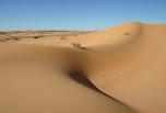 Sahara