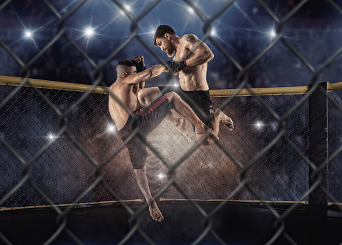 best martial arts for mma