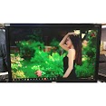 (Hn) Màn Hình Máy Tính 19 Inch Aoc