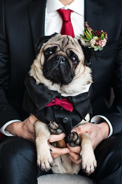 Wedding photographer Andrey Tokarev (racries). Photo of 20 March 2019