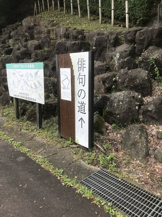 86の群馬県・妙義山・ドライブ・インプレッサWRXSTI・86gtに関するカスタム事例の投稿画像3枚目