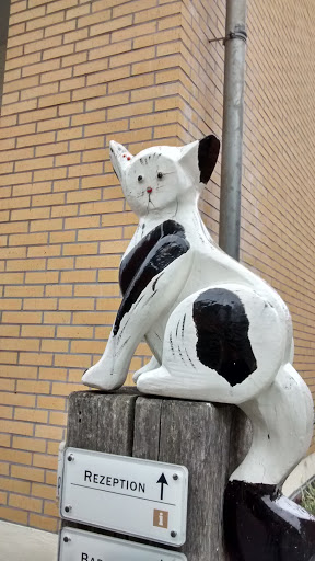 Komische Katze