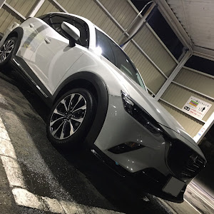 CX-3 DKEFW