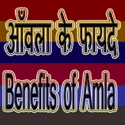 Aanwle Amla ke Fayde 1.0 Icon