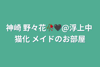 「神崎 野々花🥀🖤@浮上中 猫化 メイドのお部屋」のメインビジュアル