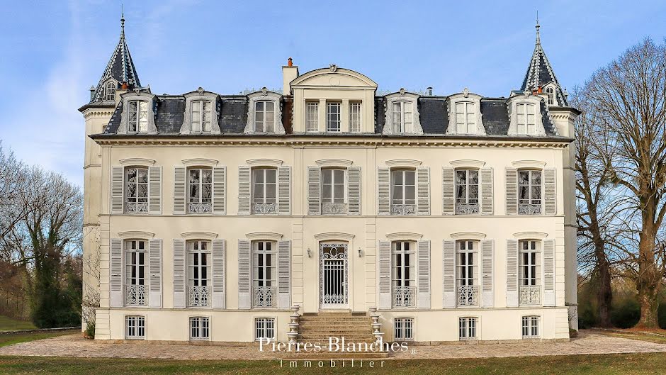 Vente maison 17 pièces 1000 m² à Touquin (77131), 3 400 000 €