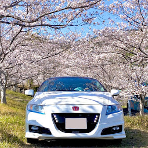 CR-Z ZF1