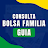 Consulta Bolsa Familia. Guia icon