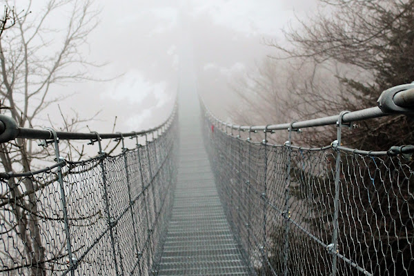 Ponte tibetano nella nebbia di AlexSandra