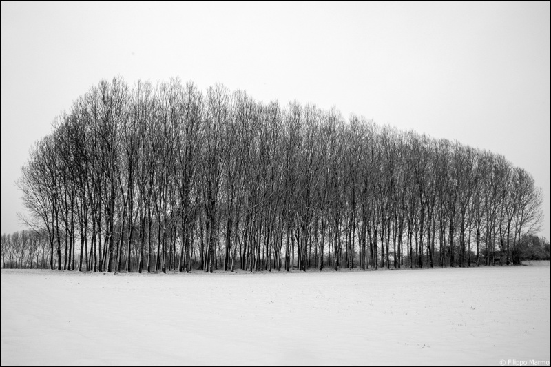 La fila infinita. di Laurabarbieri