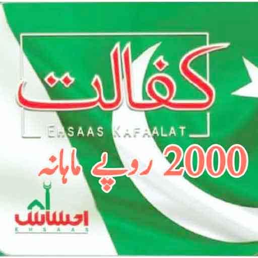 Ehsas Kafalat Program App Full Guide