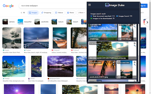 Bulk Image downloader - Image Duke