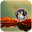 Bubble Photo Frame Download on Windows