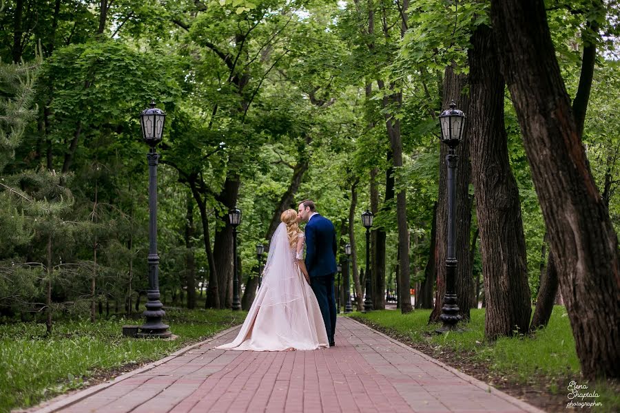 Wedding photographer Elena Shaptala (elenashaptala). Photo of 14 August 2017