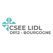 CSE LIDL DR12  Icon