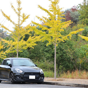 スイフトスポーツ ZC33S